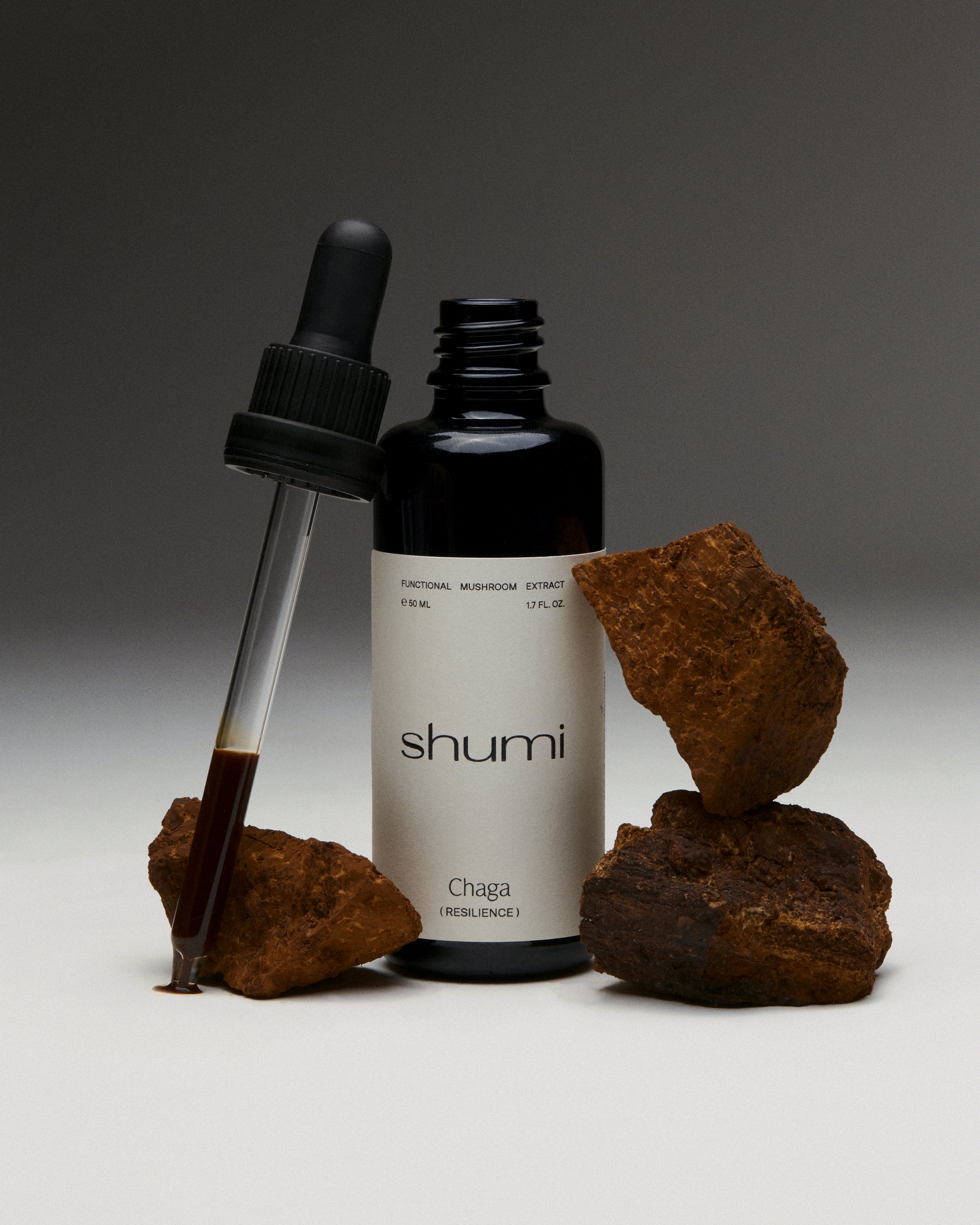 Chaga Extract