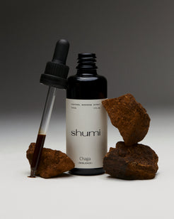 Chaga Extract