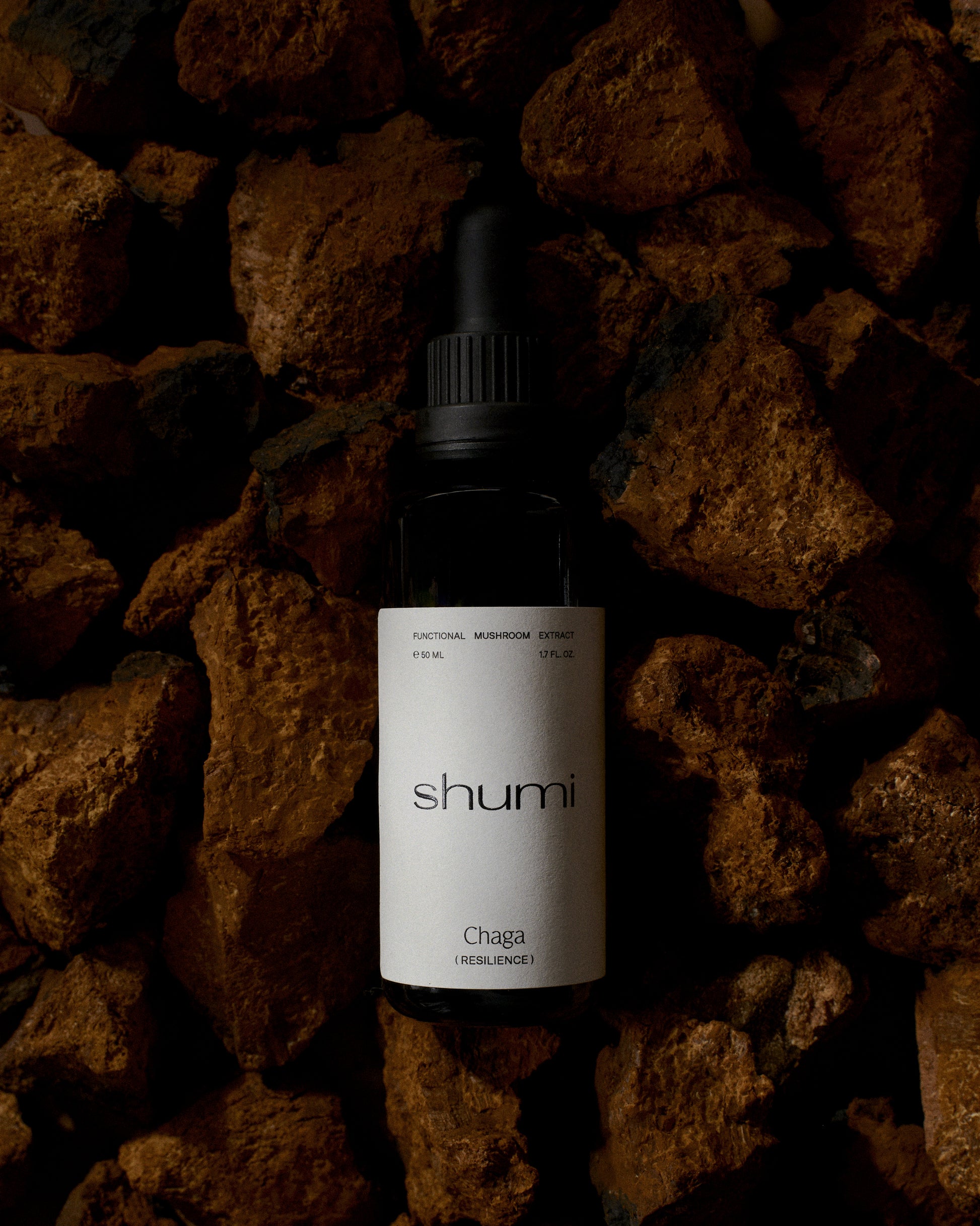 Chaga Extract