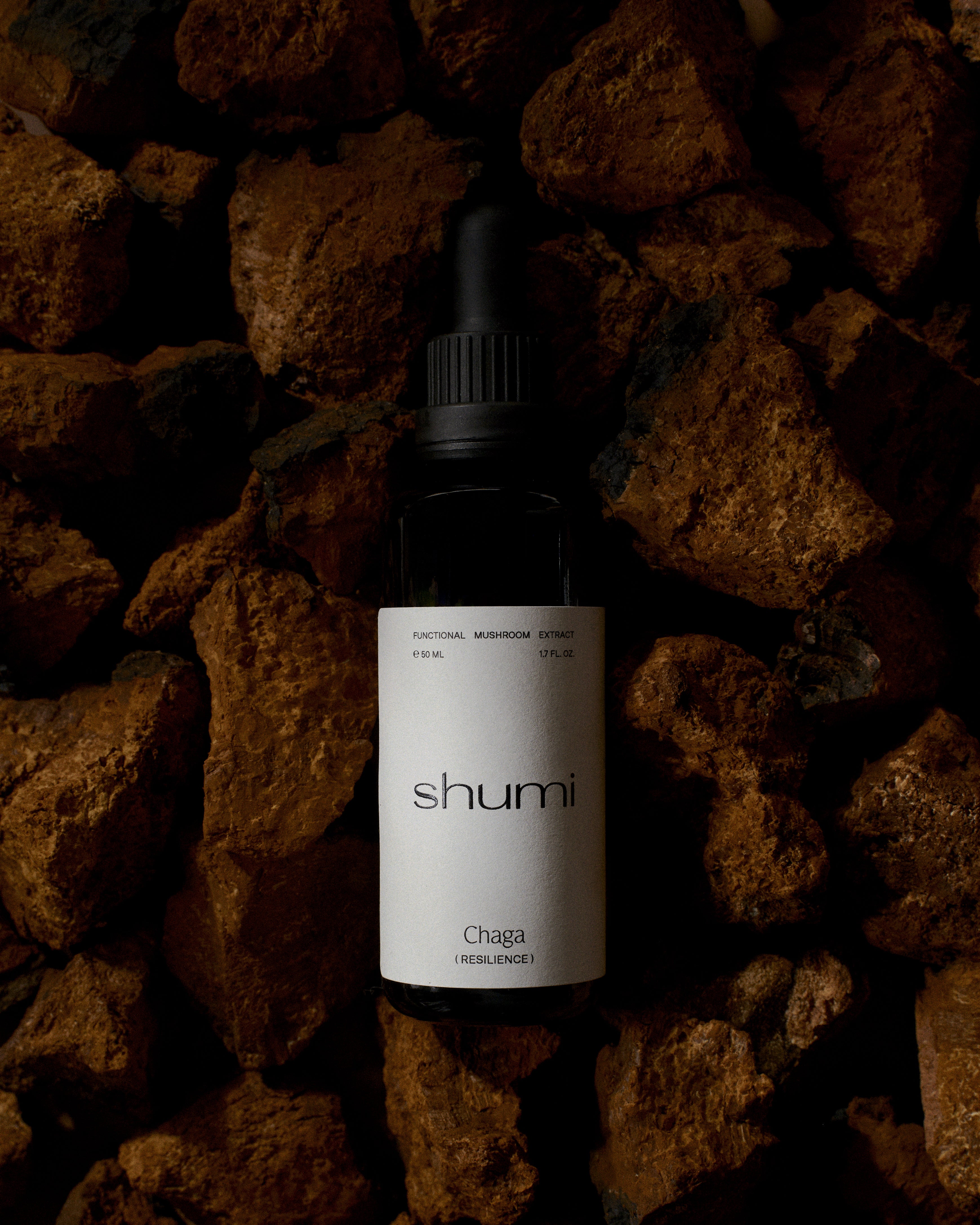 Chaga Extract