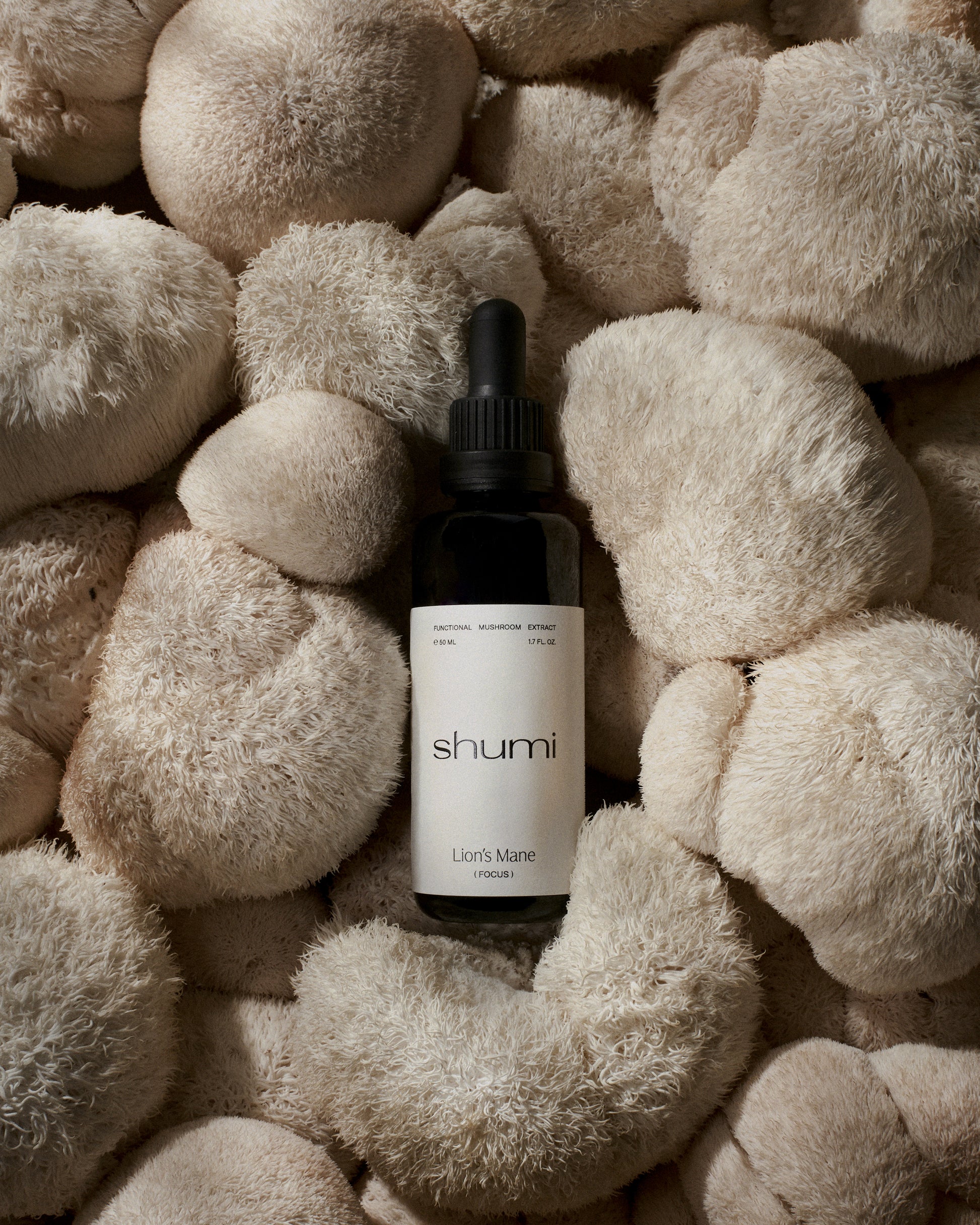 Lion’s Mane Extract